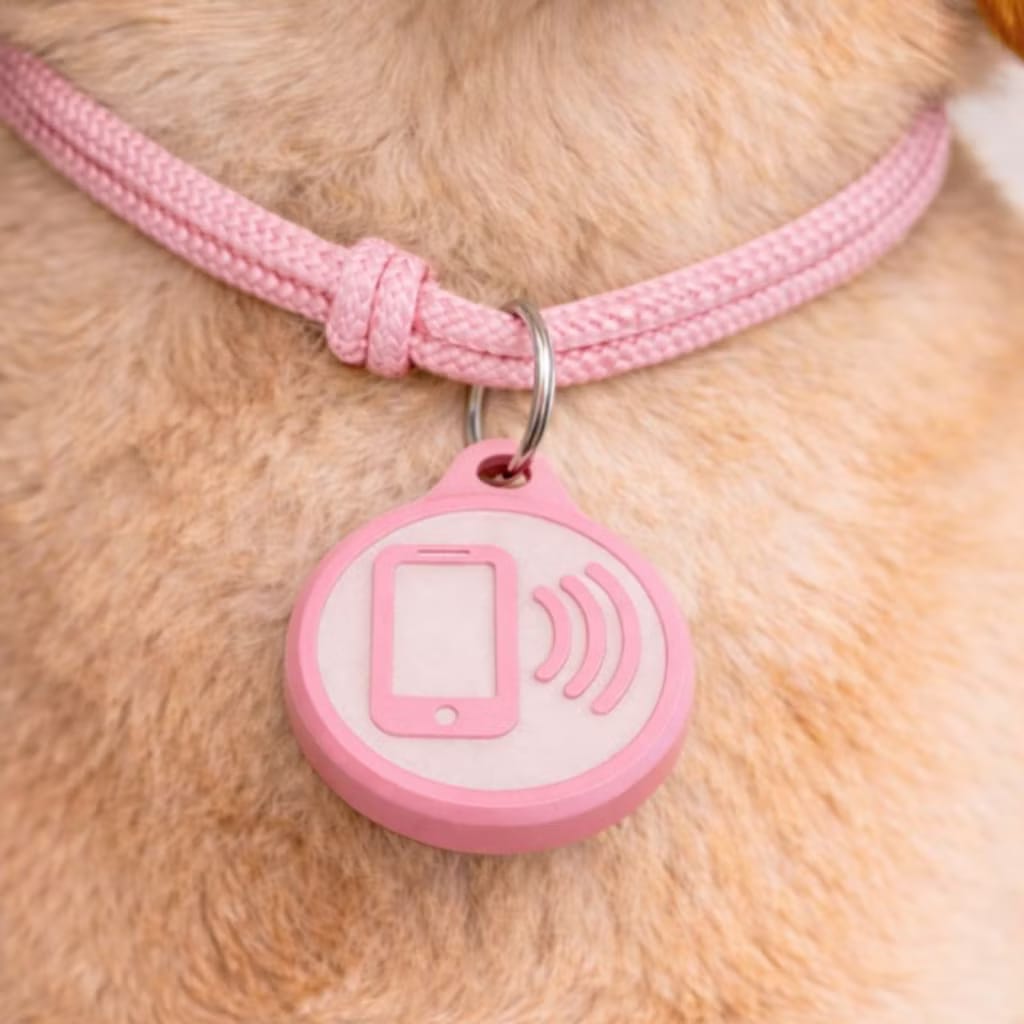 Tag NFC para Pet — Identificação Digital Inteligente para Cães e Gatos