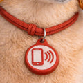 Tag NFC para Pet — Identificação Digital Inteligente para Cães e Gatos