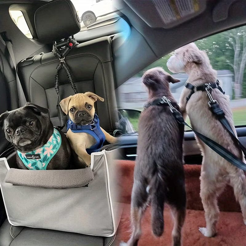 Coleira de Segurança para Pets — Cinto Automotivo Ajustável para Cães e Gatos